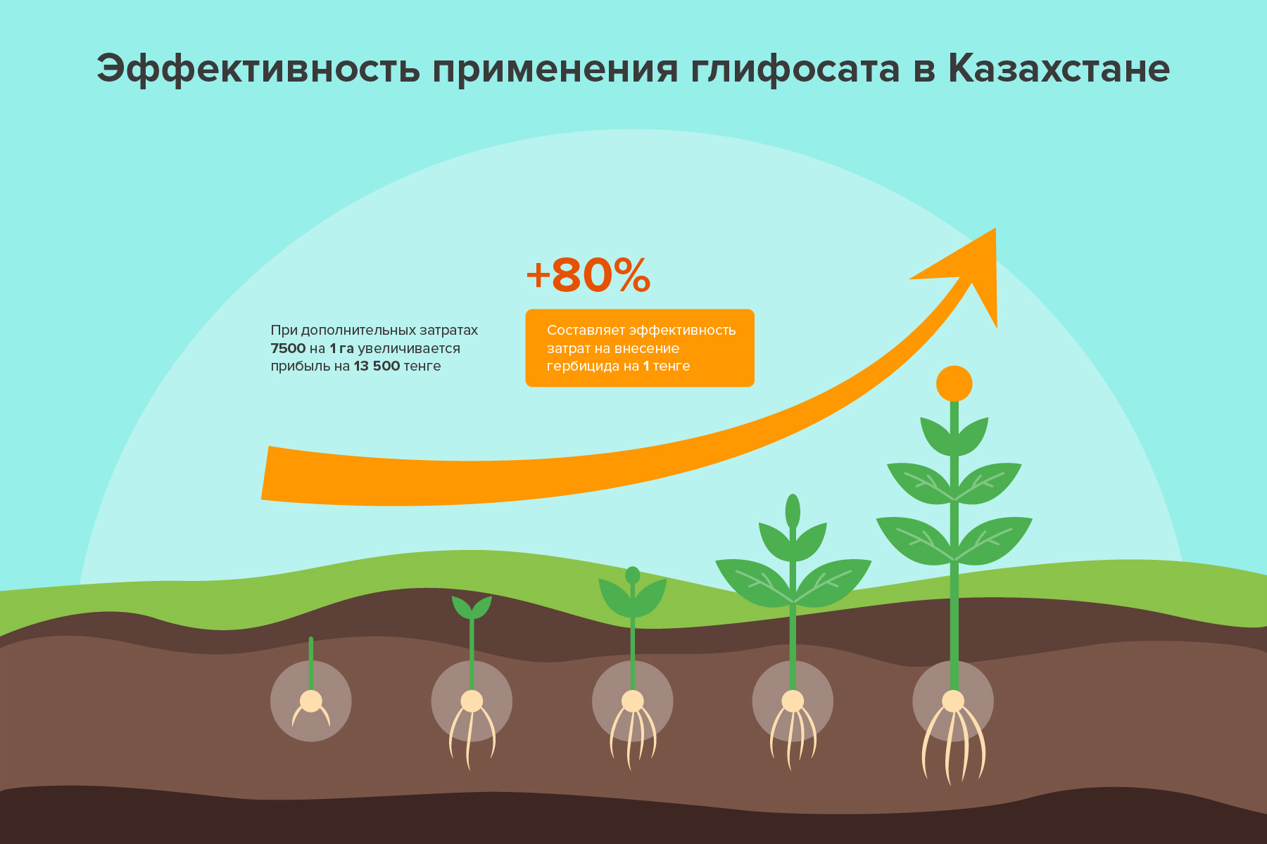 Минералды тыңайтқыштар презентация