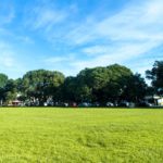 Перечень субсидируемых видов удобрений и норм субсидий в Павлодарской области в 2018 году