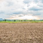 Перечень субсидируемых видов удобрений и норм субсидий в Атырауской области в 2018 году