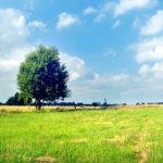 Перечень субсидируемых видов удобрений и норм субсидий в Карагандинской области в 2018 году