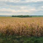 Перечень норм субсидируемых удобрений в Кызылординской области в 2018 году