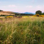 Перечень субсидируемых норм удобрений в Западно-Казахстанской области в 2018 году