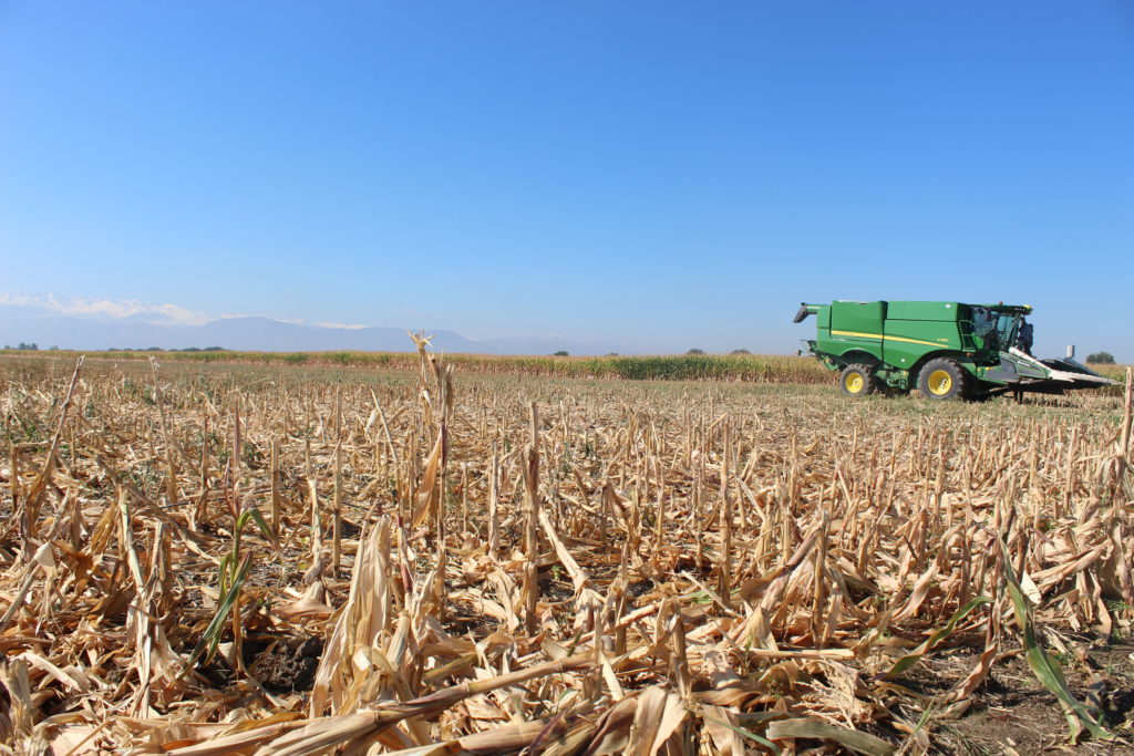 Агромарт лого. Плакат эко савдо бозори. Агромарт. Агромарт. Агрохимические технологии лого.