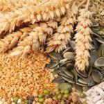 К началу октября в Казахстане было собрано более 18 миллионов зерна